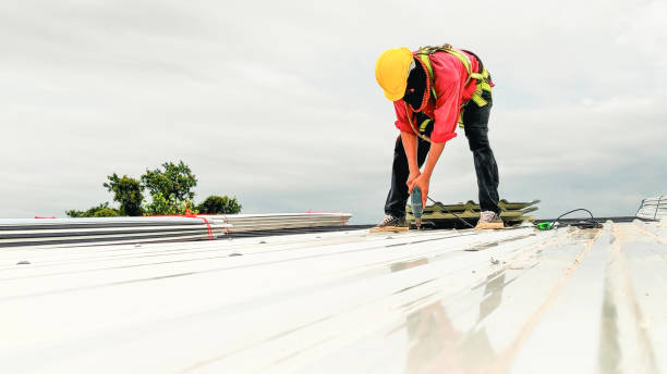 Best Roof Ventilation Installation  in Packanack Lake, NJ